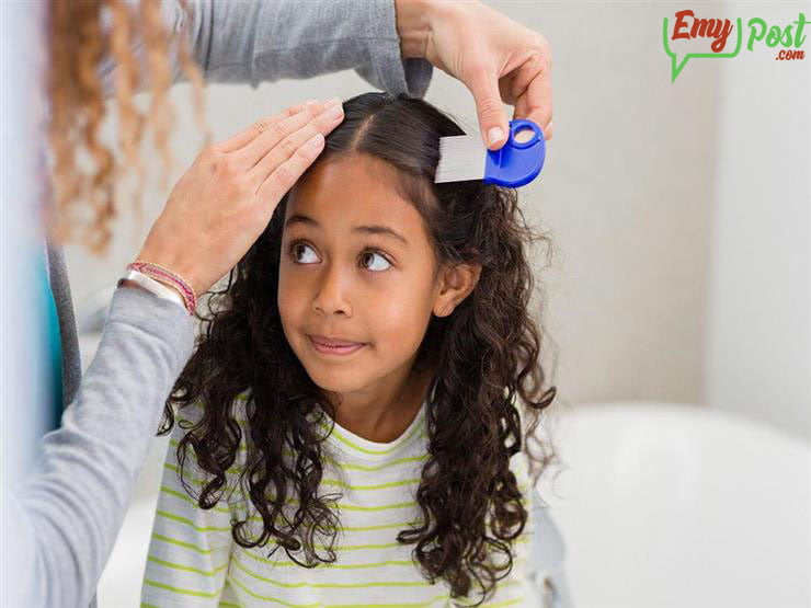 افضل علاج للقمل والصيبان من الصيدليه في مصر
